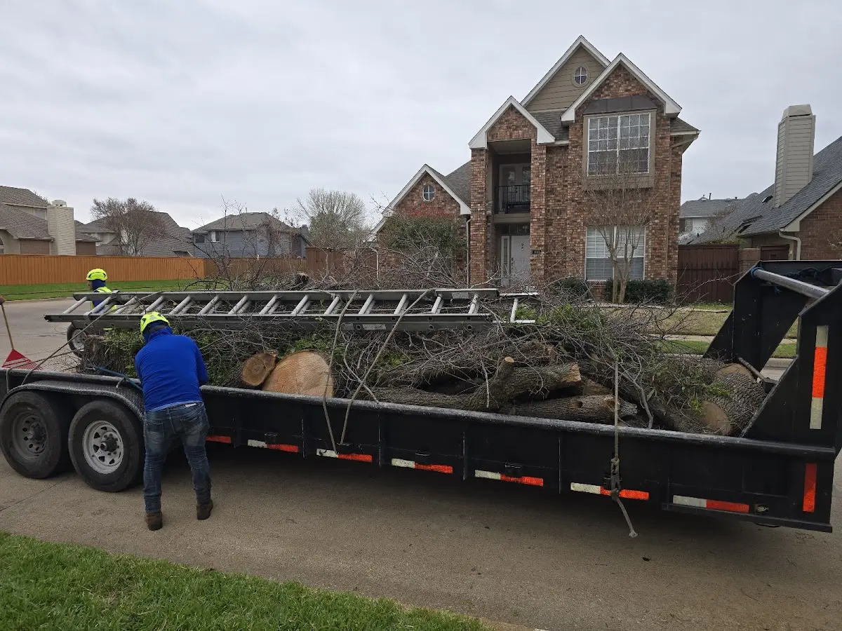 Expert Tree Fertilization with proper safety equipment in Matherville